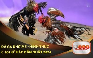 Đá Gà Khơ Me: Hình Thức Chọi Kê Hot Nhất 2024